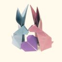 lilyliondragon avatar