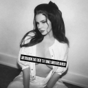 lilylittlelamb avatar