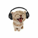 lilysflowersworld avatar