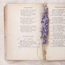 lilyslavenderlibrary avatar