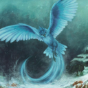 lilystrations avatar