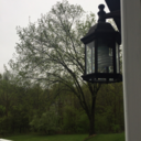 lilythebabywitch avatar