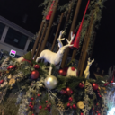 lilyvoyage-blog avatar