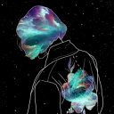 lilyzebra avatar