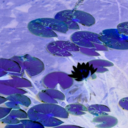 limbosplaything avatar