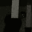 liminal-cat avatar