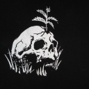 liminaleffort avatar