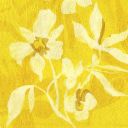 limitonthetime avatar