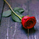 limone7cedrone avatar