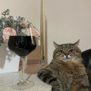 limonlubahcee avatar