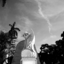 linacatsworld avatar