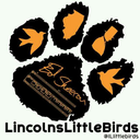 lincolns-little-birds avatar