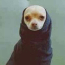 lindabelcher420 avatar