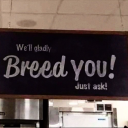 lindell-1963-blog avatar