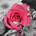 lindsayjoy444 avatar