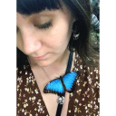 lindseymarter avatar