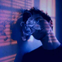 lines-in-the-sky avatar