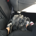 lineupbitches avatar