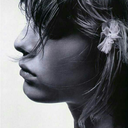 lingmufeialways avatar