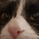 link-of-asgard avatar