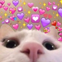 linkdarksblog avatar