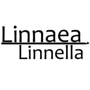 linnaealinnella avatar