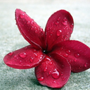 linz0313-blog-blog avatar