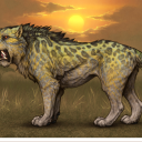 lioden-blog52 avatar