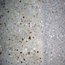 lioness-catrina avatar