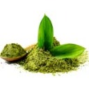 lionheartluna avatar