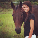 lionsandleopards avatar