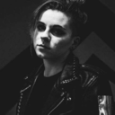 lionseatlions avatar