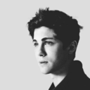 lionshearted-blog avatar