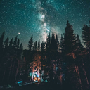 lipswithoutsmiles avatar