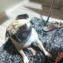 liquidar-blog avatar