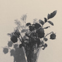 liquidlighttt avatar