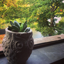 liquidluckmylove avatar