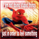 lirependragon avatar