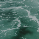 lirio-del-sol avatar