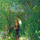 lisaintheskywithdiamondsx avatar