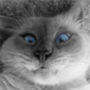 list-brokerage-pza avatar