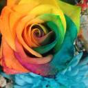 listen-to-the-grass-grow avatar