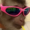 listenthemoose avatar