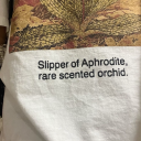 listentoyafrens avatar