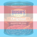 literal-trans-beans avatar