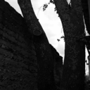 literally-anythin avatar