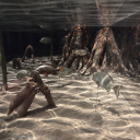 literally-just-thought-spam avatar