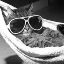 literally-space-trash avatar