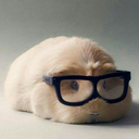 literallyrofl avatar