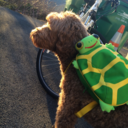 literaltrashgoddess avatar